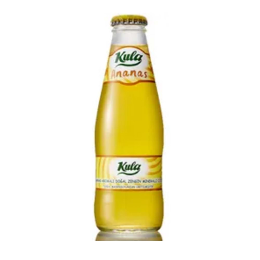 KULA SODA ORMAN MEYVELİ*24LÜ