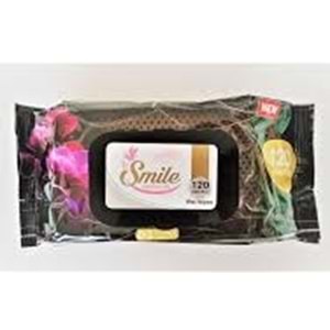 SMİLE ISLAK MENDİL 120 *16LI