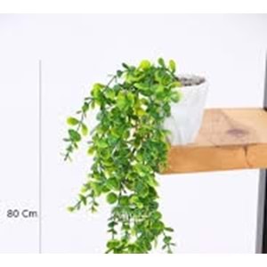 SARKAN OKALİPTU SAKSI SÜS