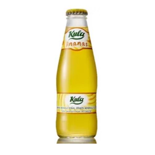 KULA SODA ORMAN MEYVELİ*24LÜ