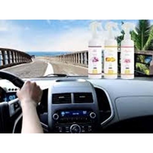 AUTOTAY OTO KOKU OKYANUS 400ML