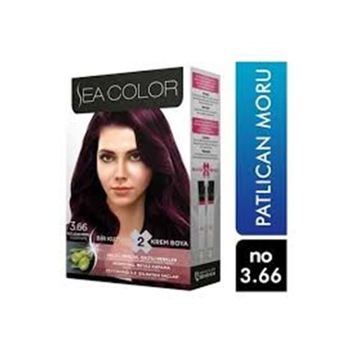 SEA COLOR SAÇ BOYASI PATLICAN MORU 3.66*24