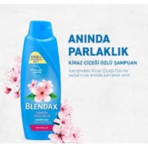 BLENDAXS ŞAMPUAN 500ML MAT SAÇ. KİRAZ ÇİÇEK
