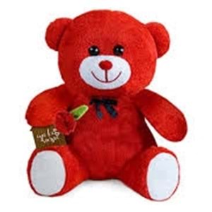 KIRMIZI AYICIK KUTULU x H-TORU