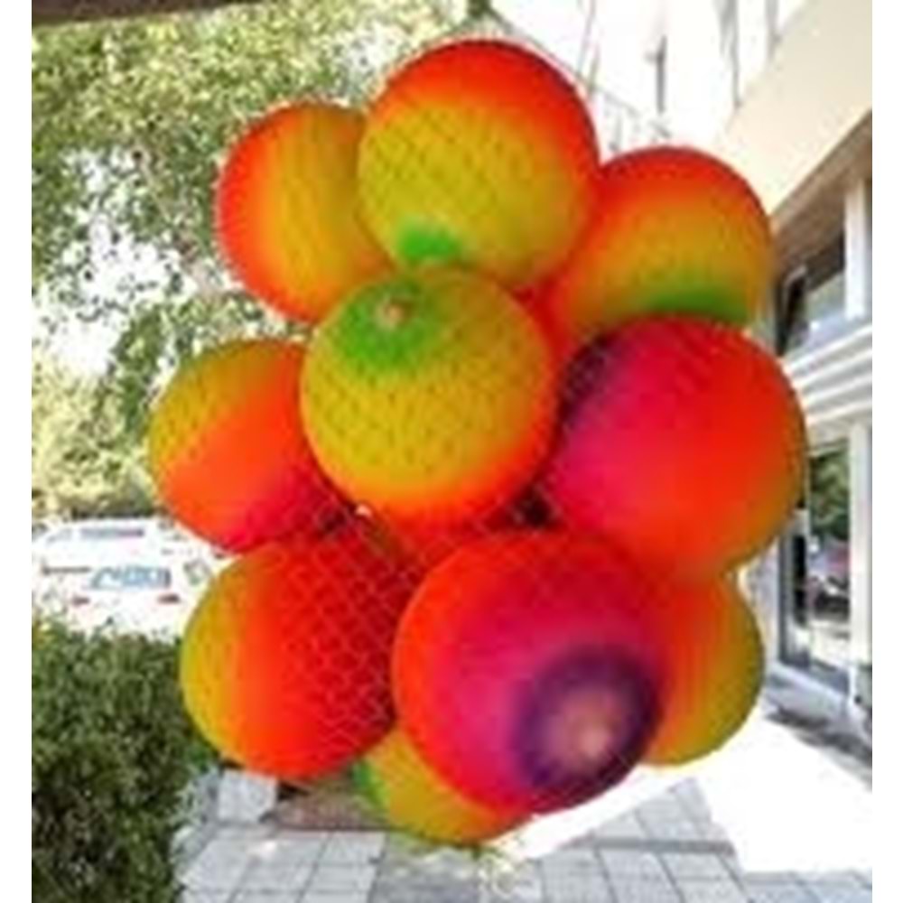 PLASTİK TOP MİNİ GÖKKUŞAĞI